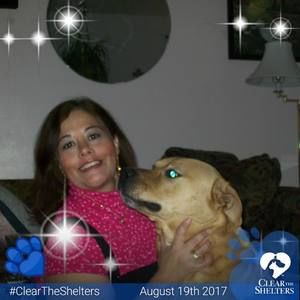 Meet your Posher, Shelly